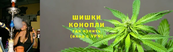 крисы Богородицк