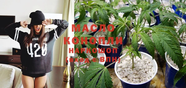 крисы Богородицк