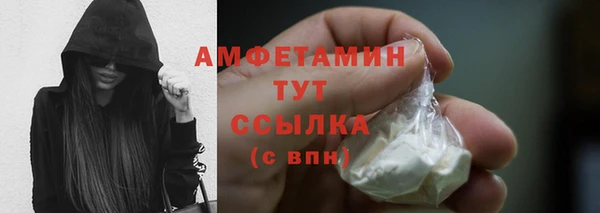 дживик Богородск