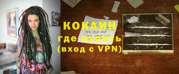дживик Богородск