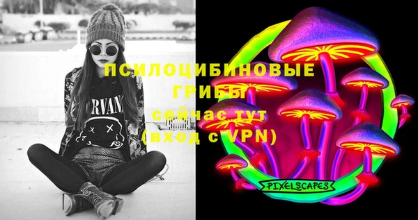 дживик Богородск