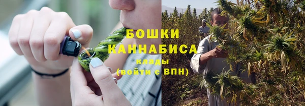 mdpv Богданович