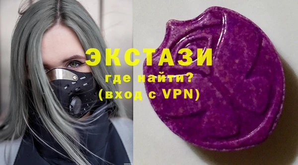 крисы Богородицк