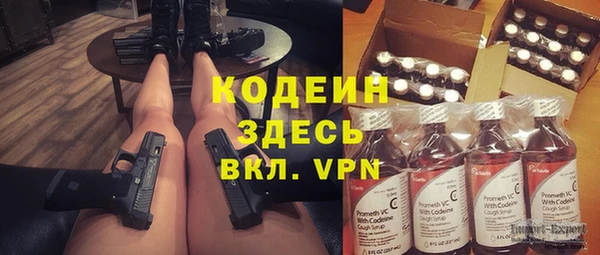 дживик Богородск