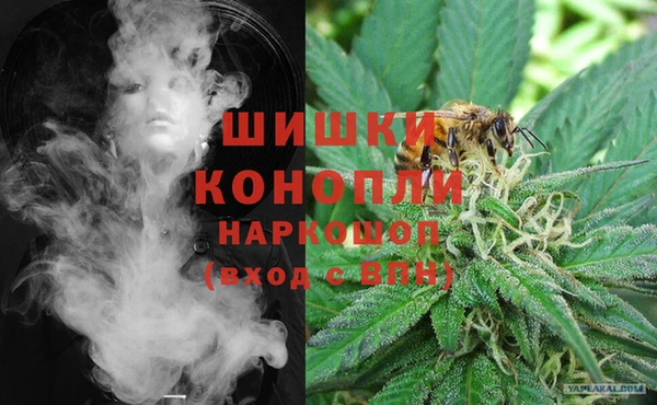 дживик Богородск
